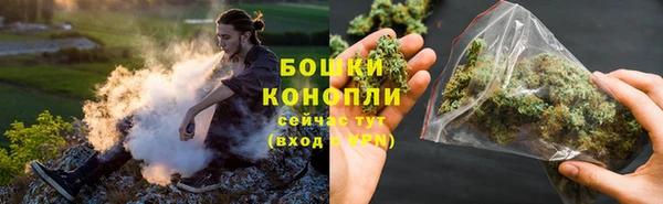 дмт Верея