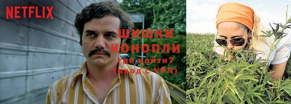 дмт Верея