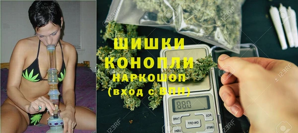 дмт Верея