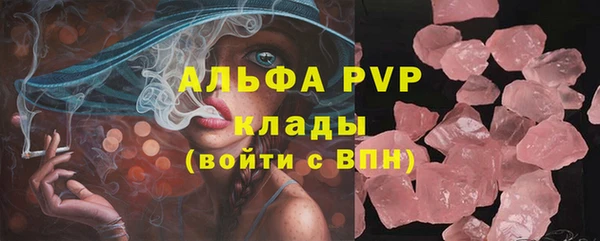 амф Верхний Тагил