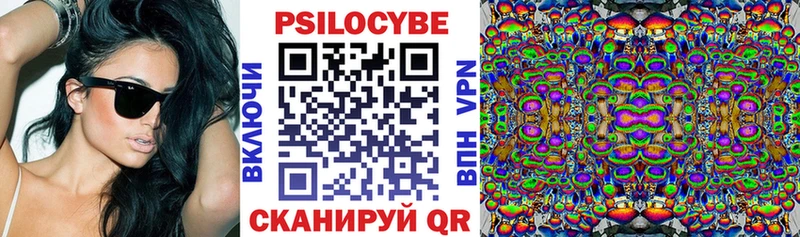 Псилоцибиновые грибы Psilocybe  Камень-на-Оби 